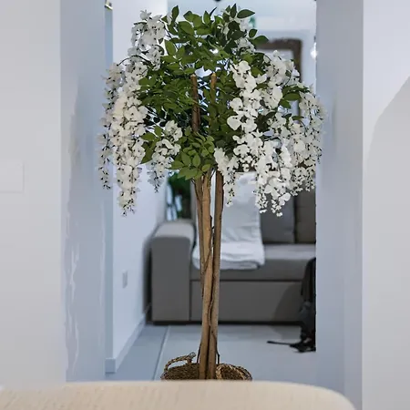 Casa D'alex * קוימברה
